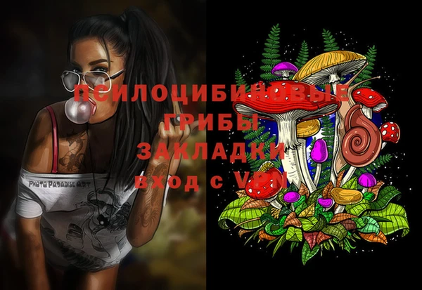 ECSTASY Балабаново