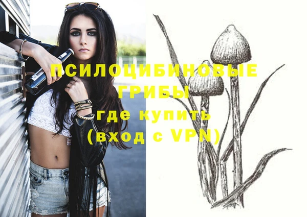 тгк Балахна